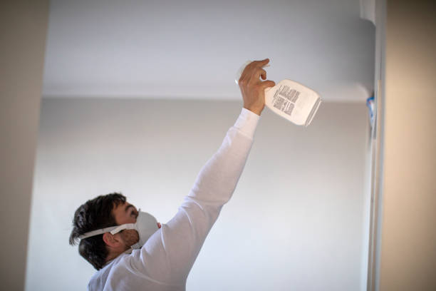 Best Affordable Mold Removal  in Livingston, TX