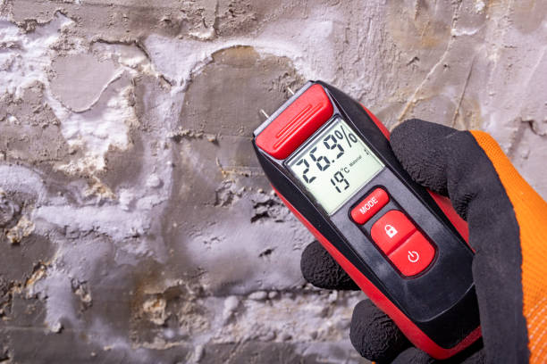 Water Damage Restoration in Livingston, TX